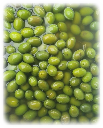 Olive Pugliesi Bella di Cerignola