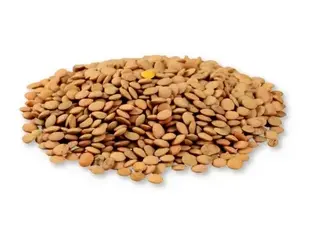 Lenticchie mignon pugliesi