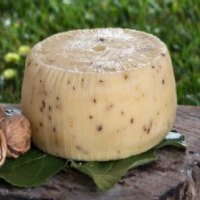 Pecorino alle noci vendita